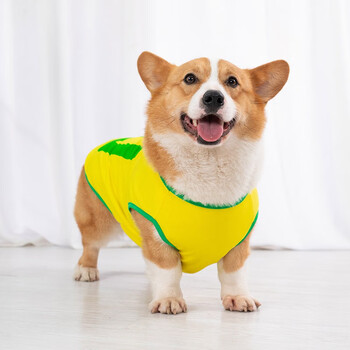 柯基犬衣服狗狗衣服夏季薄款泰迪宠物柯基衣服比熊防掉毛法斗背心小型