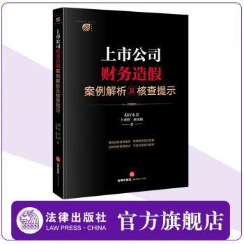 上市公司财务造假案例解析及核查提示  投行小兵 卜亚婷 赵雷励著  法律出版社