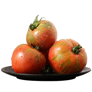 攸竹草莓铁皮柿子西红柿新鲜自然熟健康孕妇儿童生吃酸甜多汁水果 5斤