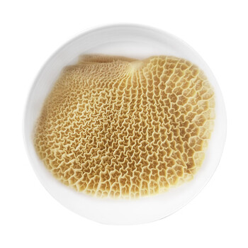 新鲜金钱肚新鲜 牛金钱肚半成品熟牛肚商用冻蜂窝肚生团建送礼生鲜