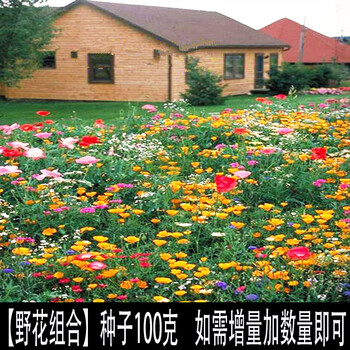 畷园多年生野花组合花种子花籽庭院室外花卉花子景观花海夏秋季户外花籽易活庭院花草籽野花组合100克价钱 图片价格品牌报价 京东 畷园多年生野花组合花种子花籽庭院室外花卉花子景观花海夏秋季户外花籽易活庭院花草籽野花组合100克价钱 图片价格品牌报价 京东