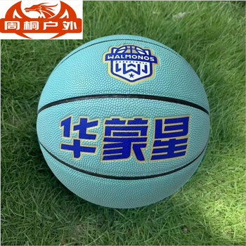 婕茵桐德国进口品质华蒙星4号篮球小学生幼儿室内外比赛训练专用适应