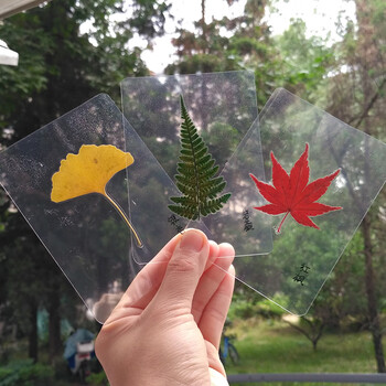 塑封膜植物标本制作透明膜押花叶子防潮树叶手工粘贴过塑膜s1961礼品