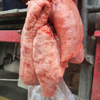 猪心肺新鲜贵州现杀现发农家土猪肉猪肺叶 一付生猪肺 猪心肺1付(3斤