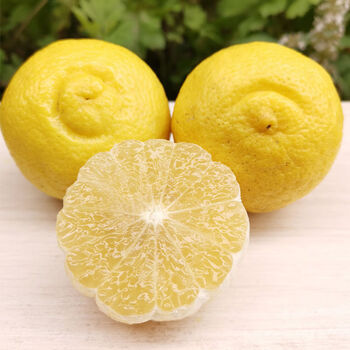 黄金贡柚10斤大果礼盒春香金柚新鲜水果当季手剥柚子