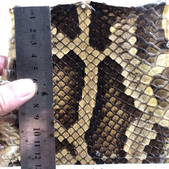 蟒皮二胡皮中胡高胡尾部尾巴根二弦用皮单块蒙皮全国a系中间宽1213