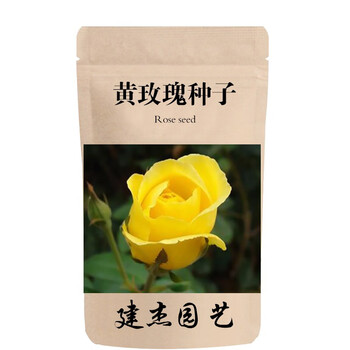 玫瑰花种子蓝玫瑰花种子四季种植开花易活室内室外盆栽花卉种子黄玫瑰种子100粒 图片价格品牌报价 京东