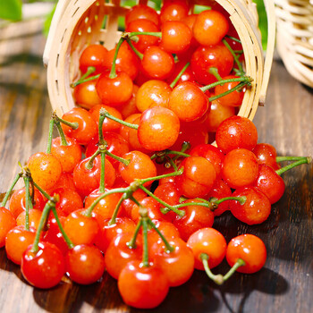 十里馋四川攀枝花米易小樱桃新鲜水果玛瑙红毕节国产土樱桃恩特儿