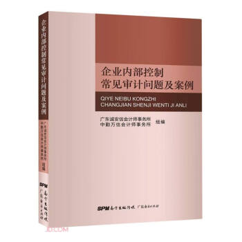 企业内部控制常见审计问题及案例 azw3格式下载