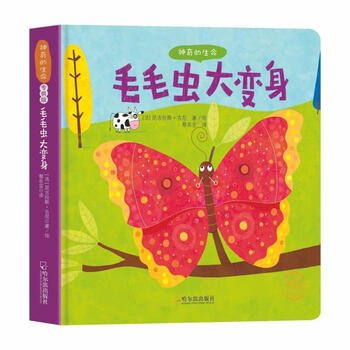 毛毛虫大变身尼古拉斯古尼绘哈尔滨出版社童书书籍