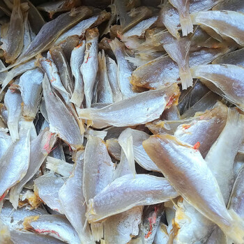 北海特产 晒制咸鱼干 红衫鱼干 金线鱼干海鲜干货500克