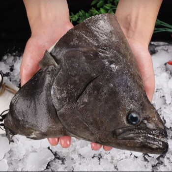 鸦片鱼头新鲜鲽鱼头深海鱼头超大海鲜水产鲜活蝶鱼头比目鱼碟鱼头12斤