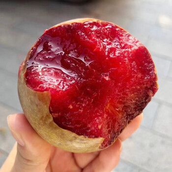 顺丰速运恐龙蛋水果澳洲蜥蜴蛋大李子鳄鱼蛋新鲜孕妇水果黑布林精品果