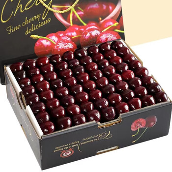 智利进口车厘子jjj黑珍珠大樱桃生鲜孕妇时令当季新鲜水果礼盒 10斤