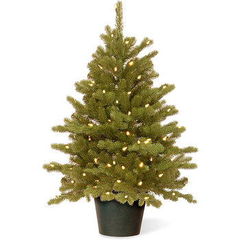 圣诞树鲜活真树云杉树圣诞节装饰家用盆栽室内庭院冬季耐寒绿植北欧风