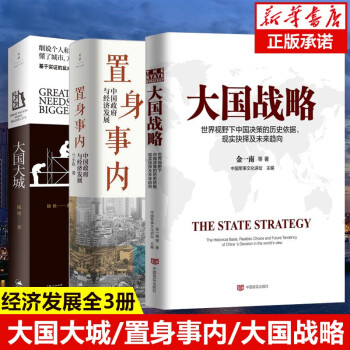 【正版包邮】置身事内 中国政府与经济发展 兰小欢正版 中国政治经济书3册