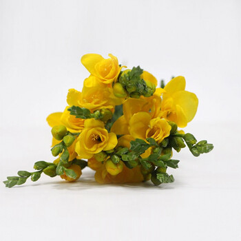 荷兰香雪兰小苍兰鲜花高端家用办公室鲜切花婚庆装饰水养节日礼物