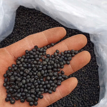 天冬种子试种100粒【图片 价格 品牌 报价】-京东