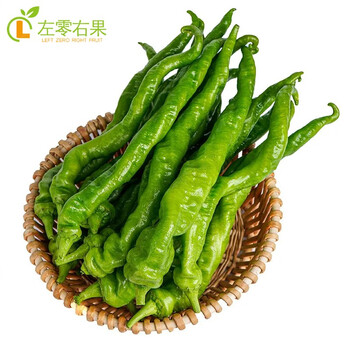 晨臻新鲜螺丝椒 蔬菜土辣椒湖南特产农家自种时令软皮