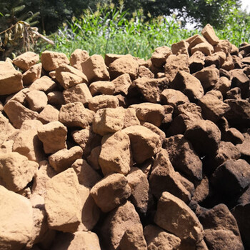 异食癖烟熏黄土条块饼烟熏胶泥烤土胶黄土非可食用非可以吃的土烟熏