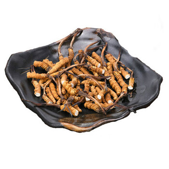 冬虫夏草西藏那曲冬虫夏草2-6根/克虫草干货泡酒虫草礼盒有散装 精选