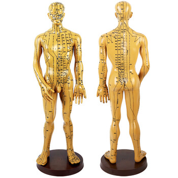 王太医 针灸铜人模型 男模女模中医人体经络穴位模型 男模50cm