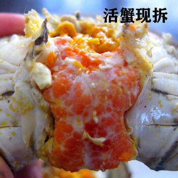 棠鲜生现拆蟹黄蟹膏新鲜蟹肉蟹黄蟹粉蟹黄酱秃黄油蟹黄蟹膏