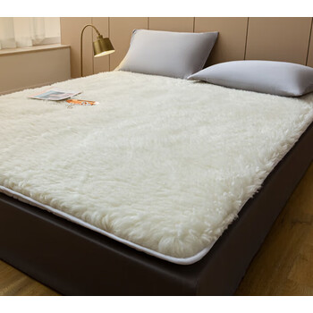 羊毛床垫 软垫加厚保暖冬季羊羔绒铺垫床褥子家用垫褥垫被 dz白色加厚