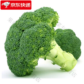 新鲜西兰花绿花菜脆嫩青花菜花椰菜农家新鲜时令蔬菜新鲜火锅食材生鲜3斤 图片价格品牌报价 京东