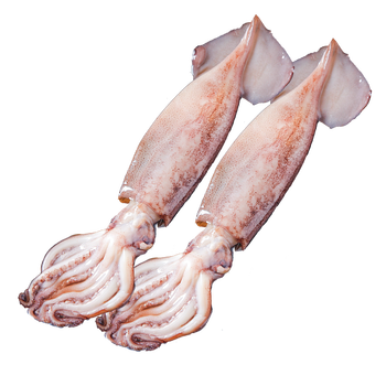 海头海州湾海捕大鱿鱼冷冻食材海鲜鱿鱼花耳花鱿鱼须2斤整条鱿鱼