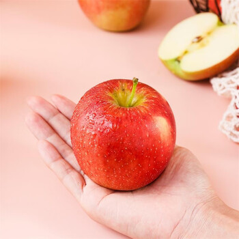 北京平谷当季现摘新鲜红富士苹果香甜可口美味多汁5斤 5斤