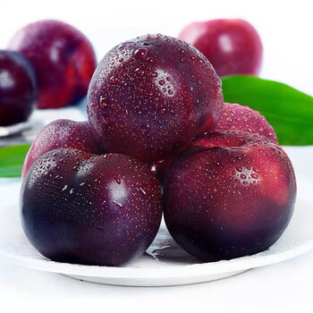 (预售)陕西黑布林李子当季整箱孕妇酸甜水果新鲜恐龙蛋应季现摘生鲜