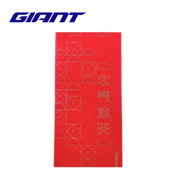 ݰأGIANT ¿ͷļ˶͸Χװ ţ