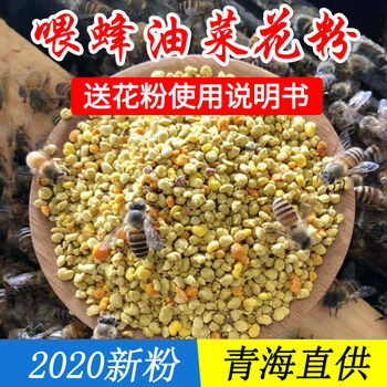 花粉喂蜂蜜蜂花粉养蜂花粉蜂粮油菜杂粉中蜂花粉颗粒养蜂代用蜜蜂饲料喂蜂花粉喂蜂花粉50克体验装 图片价格品牌报价 京东