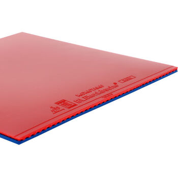 kokutaku内能蛋糕乒乓球大力神蓝色胶皮蓝色球拍反胶套胶海绵蓝色