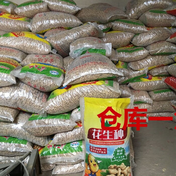 花生种子高产榨油早熟鲁花大小白沙四粒红薄皮自种孑原籽新品批发 海