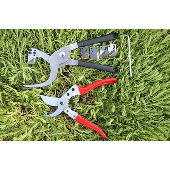 勋狸粑新型果树可调节环剥刀苹果枣树环柑橘剥器环割刀枇杷剥树皮环剥