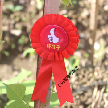 大紅花胸花小紅花胸花別針小學生幼兒園開學禮物大花朵學校教師獎勵勳