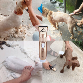 智感 给狗狗剃毛器泰迪大小狗毛推子动物宠物推毛器理发器电推剪毛