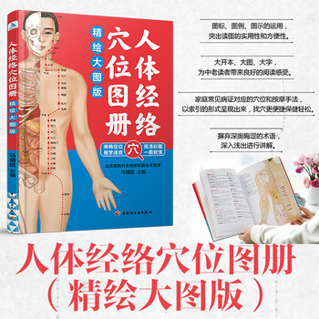 人体经络穴位图册（精绘大图版）准确定位易学速查高清彩图真人图了解人体结构
