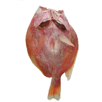 深海大红鱼干36斤整条大红鱼干湛江特产深海咸鱼干渔家淡晒海鱼干海鲜