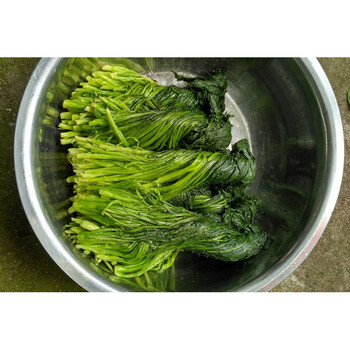 农家腌雪里红1500克装咸雪里蕻自制下饭菜拌面咸菜雪菜泡菜 1500g