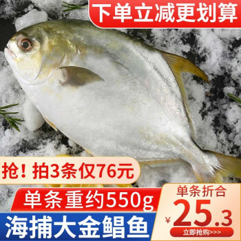 馋鱼往事新鲜冷冻金鲳鱼550g平鱼扁鱼昌鱼深海鱼海鲜水产生鲜鱼类550g 1条 图片价格品牌报价 京东