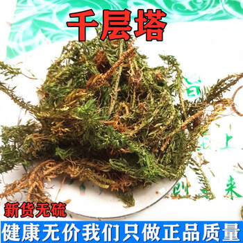 千层塔中药材千层塔蛇交子毛青杠虱子草生扯拢250克500克千层塔250克