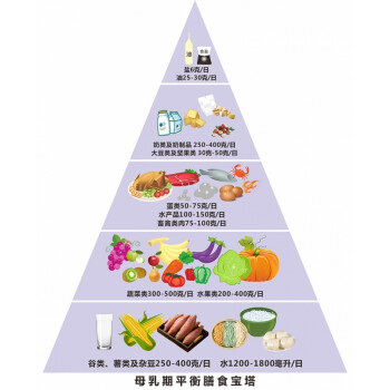 膳食寶塔模型仿真食物金字塔交換份模型大版一產後哺乳版膳食模型寶塔