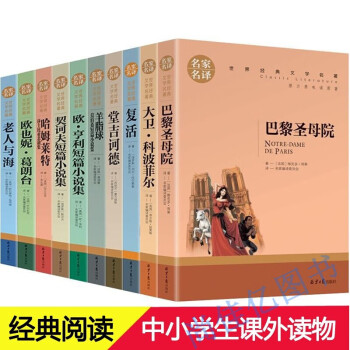 世界十大名著全套10冊巴黎聖母院書籍文學名家名譯外國小說大衛