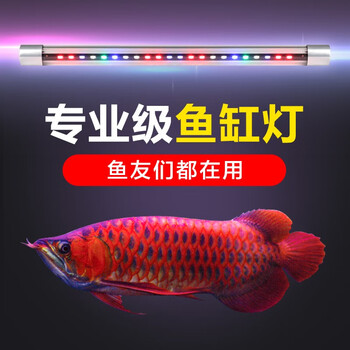 Sobo 松宝鱼缸灯led灯防水照明灯水草灯草缸灯潜水灯赏鱼t8灯管鹦鹉龙鱼灯t8 1d 12w 适用105 1缸 图片价格品牌报价 京东