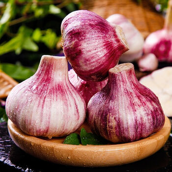 鲜蒜云南紫皮大蒜现挖鲜蒜湿蒜大蒜头糖醋蒜嫩蒜腊八蒜特果装单果直径