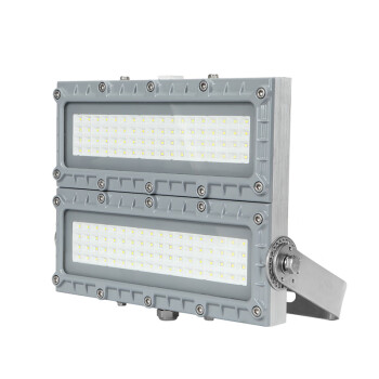 通明电器 TORMIN BC9102S-L100 LED防爆灯 厂房车间仓库模组泛光灯 100W