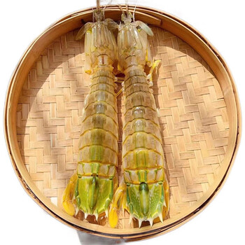 泛洋渔家傲【活鲜】鲜活泰国富贵虾 进口大皮皮虾公虾大虾活虾海鲜虾